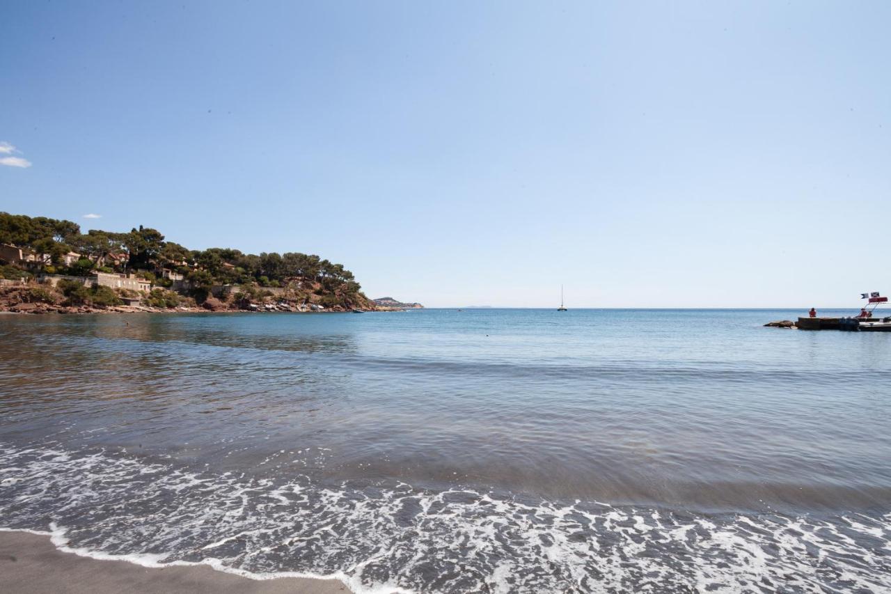 T2 - La Seyne Sur Mer - Fabregas Ngoại thất bức ảnh